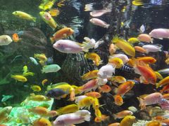 -太平洋海底世界