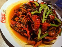 -红盔甲·小龙虾(车公庙店)