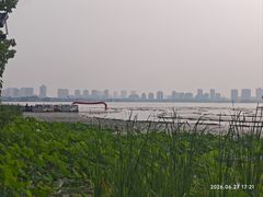 -金鸡湖桃花岛