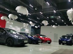 -TESLA 特斯拉(深圳观澜特斯拉直营钣喷中心)