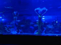 -成都浩海立方海洋公园