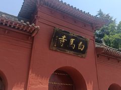-洛阳白马寺
