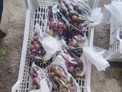 -马陆小张葡萄园农家乐