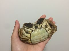 -小陆莲花蟹园农家乐(莲花岛店)