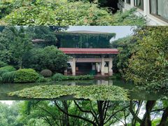 -中国茶叶博物馆(双峰馆区)