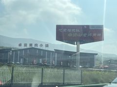 -张金涛熏鸡(x560店)