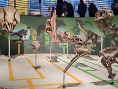 -国家自然博物馆