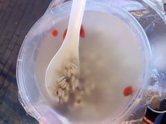 -清真.德枭炕肉店.青海菜(大新街夜市店)
