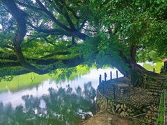 -福建土楼（南靖）云水谣景区-和贵楼