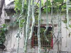 -井塘古村