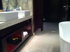 -常州环球恐龙城维景国际大酒店