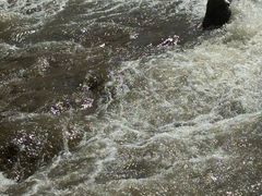 -对天河漂流