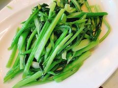 -金彤川菜(西稍门店)