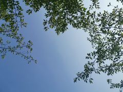 -昆山城市生态森林公园