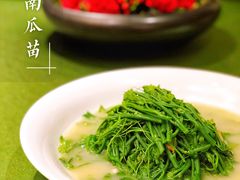 上汤南瓜苗-悦景酒家(罗湖店)