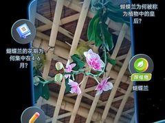 -CGV影城(滨江天街IMAX店)