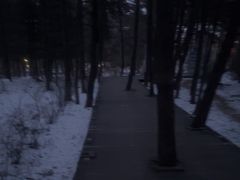 -帽儿山国家森林公园