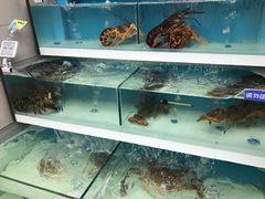 -盒马鲜生(大成店)