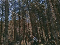 -硗碛藏寨·神木垒景区