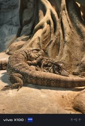 -Zoolung Zoolung动物主题公园(海信广场店)