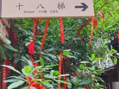 -重庆十八梯传统风貌区