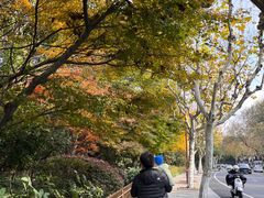 -家烧面馆【南山路知名经典面食】