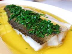 葱油蒸白水鱼-玫瑰厅上海菜(兴国路店)