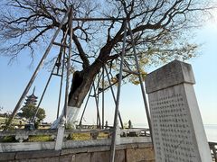 -观潮胜地公园