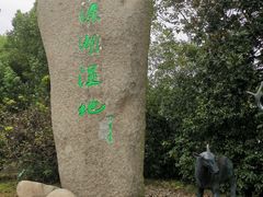 -溱湖国家湿地公园