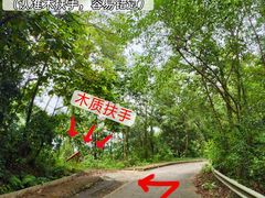 -南宁良凤江国家森林公园