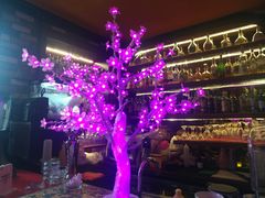 -Pistolera Mexican Cantina女枪手墨西哥餐厅(碧云路店)