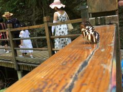-古龙峡云天玻霸