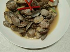 -贴阁碧(百丈东路店)