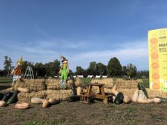 -圣露庄园·露营·烤肉·亲子