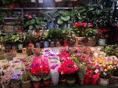 -三旗百汇商品城