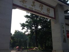 -集美学村