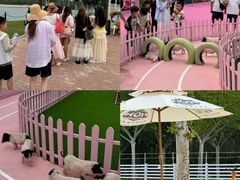 -渔岛海洋度假区