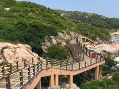 -广东惠东海龟国家级自然保护区