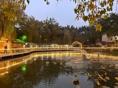 -巴山一绝烤全羊(三圣乡刘家花园店)