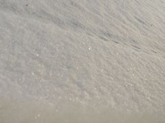 -济南孟家扒蹄店