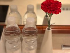 -长沙运达喜来登酒店