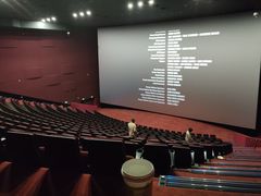 -悦江新远影城IMAX