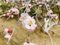 -朝阳公园