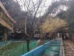 -天怡·鱼工厂(梅溪湖店)