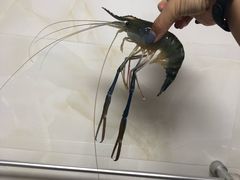 罗氏虾每斤-王四营海鲜市场