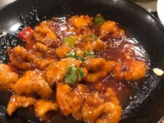 -熊猫川菜馆 panda chine