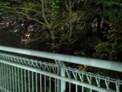 -佛山华盖山公园