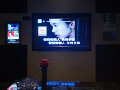 -宝岛甲壳虫KTV(蓝天路店)