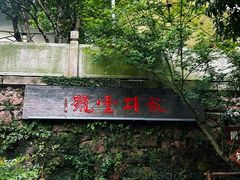 -龙井壹号·茶缘山景宴(龙井村店)