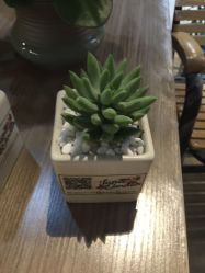 点击看大图 -六月嫁期婚礼(旗舰店)